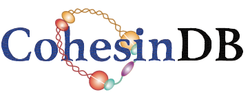 CohesinDB logo
